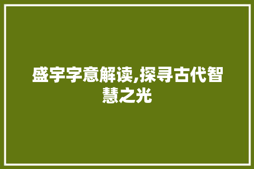 盛宇字意解读,探寻古代智慧之光