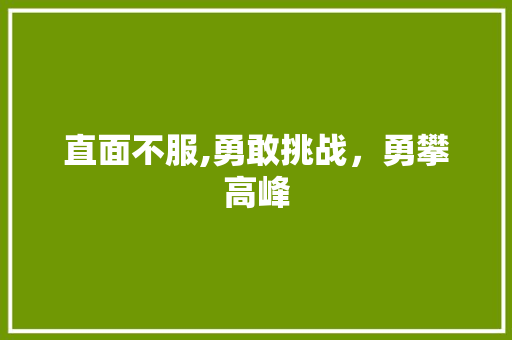 直面不服,勇敢挑战，勇攀高峰