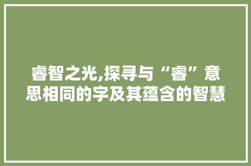 睿智之光,探寻与“睿”意思相同的字及其蕴含的智慧