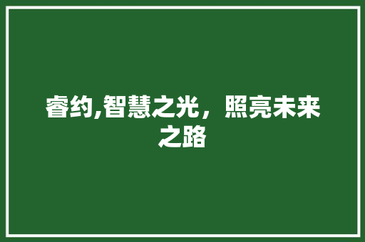 睿约,智慧之光，照亮未来之路