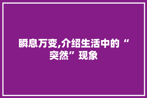 瞬息万变,介绍生活中的“突然”现象 报告写作