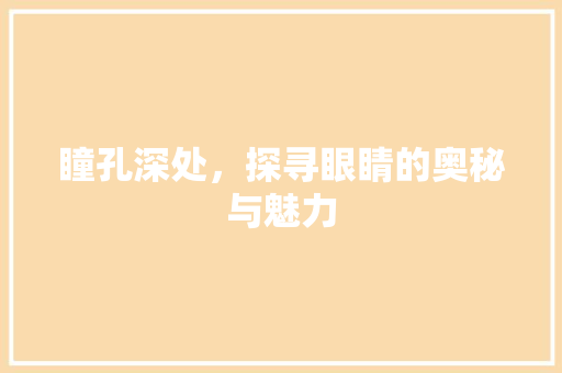 瞳孔深处，探寻眼睛的奥秘与魅力 商业文案