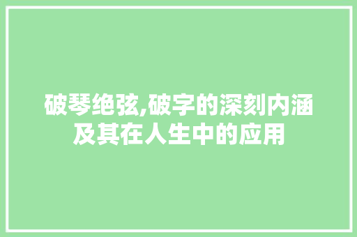破琴绝弦,破字的深刻内涵及其在人生中的应用