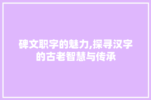 碑文职字的魅力,探寻汉字的古老智慧与传承