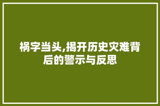 祸字当头,揭开历史灾难背后的警示与反思