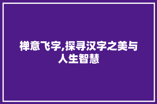 禅意飞字,探寻汉字之美与人生智慧