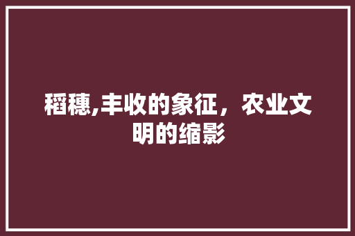 稻穗,丰收的象征，农业文明的缩影 写作技巧