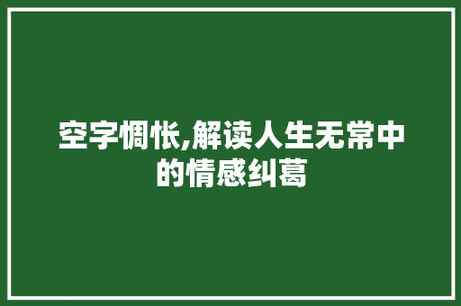 空字惆怅,解读人生无常中的情感纠葛 写作素材