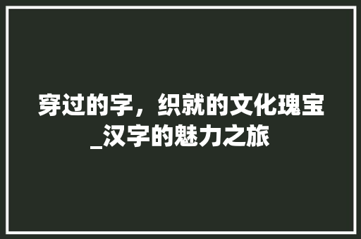 穿过的字，织就的文化瑰宝_汉字的魅力之旅
