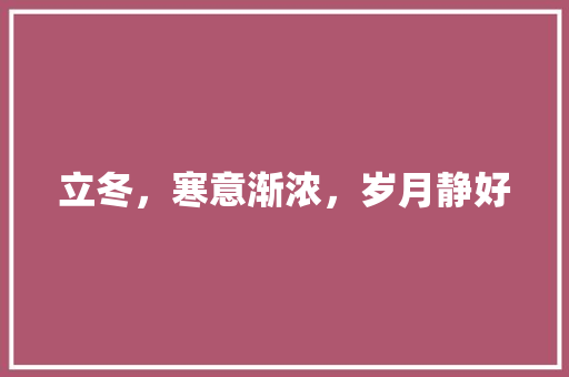立冬，寒意渐浓，岁月静好 写作素材