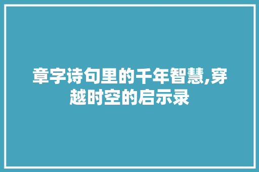 章字诗句里的千年智慧,穿越时空的启示录