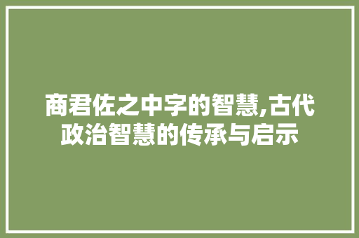 商君佐之中字的智慧,古代政治智慧的传承与启示