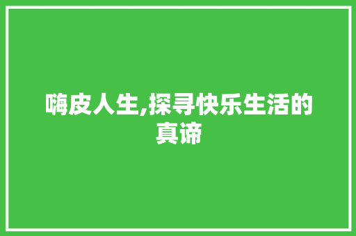 嗨皮人生,探寻快乐生活的真谛
