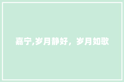 嘉宁,岁月静好，岁月如歌