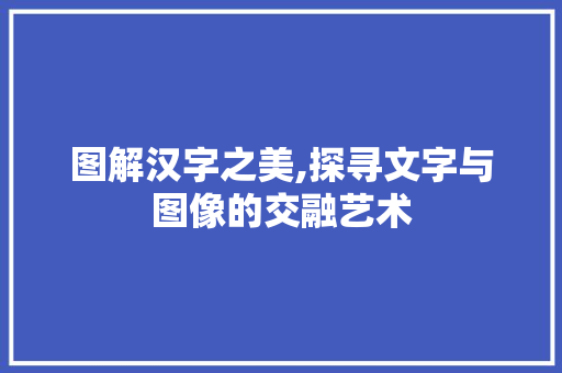 图解汉字之美,探寻文字与图像的交融艺术 范文赏析