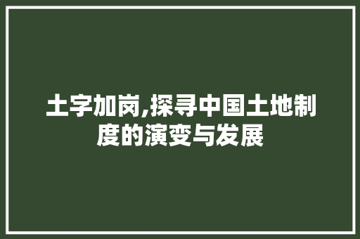 土字加岗,探寻中国土地制度的演变与发展 范文赏析