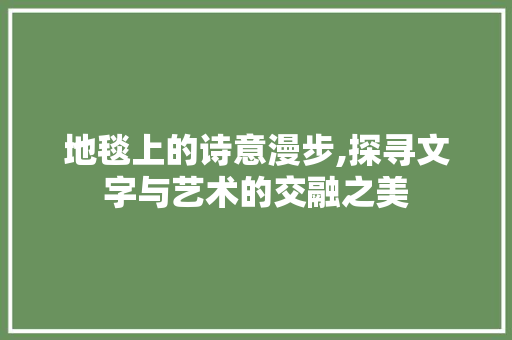 地毯上的诗意漫步,探寻文字与艺术的交融之美