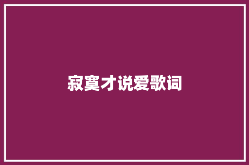 寂寞才说爱歌词