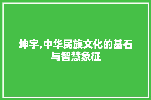 坤字,中华民族文化的基石与智慧象征