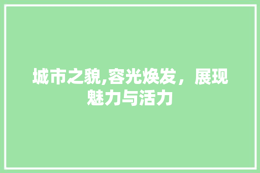 城市之貌,容光焕发，展现魅力与活力 写作素材