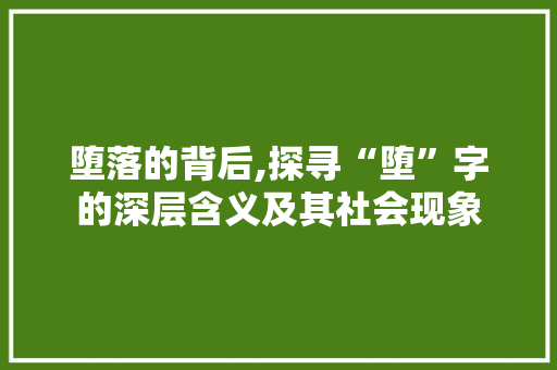 堕落的背后,探寻“堕”字的深层含义及其社会现象 范文赏析