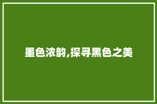 墨色浓韵,探寻黑色之美 范文赏析