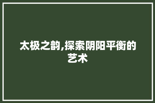 太极之韵,探索阴阳平衡的艺术