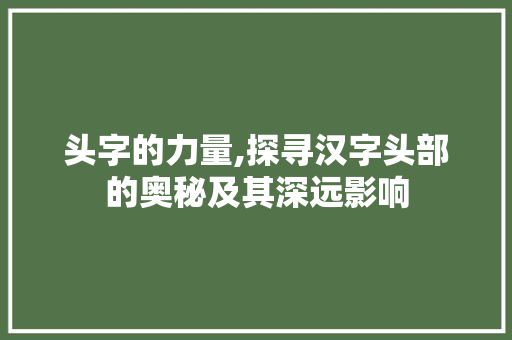头字的力量,探寻汉字头部的奥秘及其深远影响 写作素材
