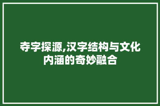 夺字探源,汉字结构与文化内涵的奇妙融合 词汇积累