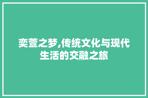 奕萱之梦,传统文化与现代生活的交融之旅 词汇积累