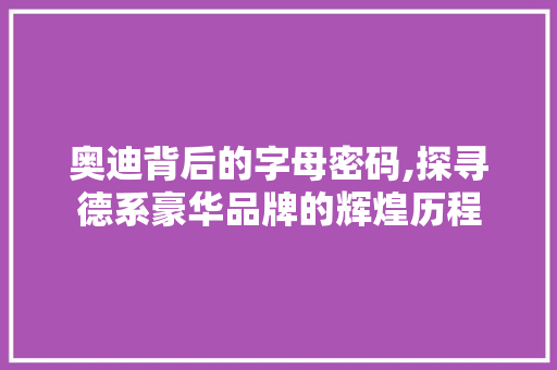 奥迪背后的字母密码,探寻德系豪华品牌的辉煌历程 简历模板