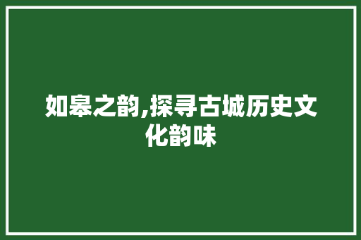 如皋之韵,探寻古城历史文化韵味 简历模板