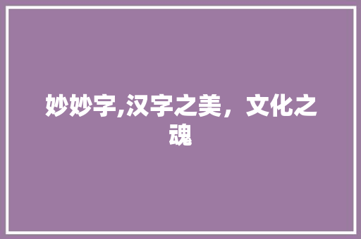 妙妙字,汉字之美，文化之魂