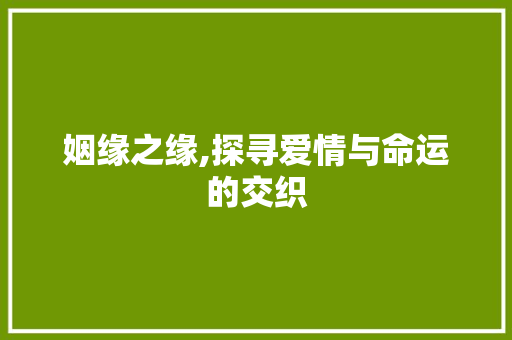 姻缘之缘,探寻爱情与命运的交织 报告写作