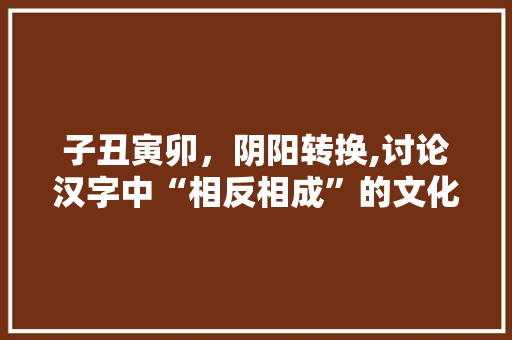 子丑寅卯，阴阳转换,讨论汉字中“相反相成”的文化内涵