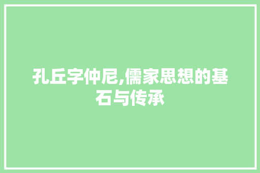 孔丘字仲尼,儒家思想的基石与传承 词汇积累
