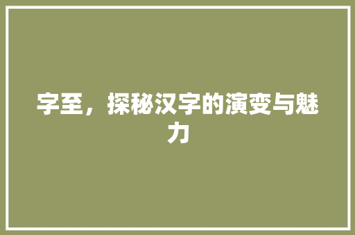 字至，探秘汉字的演变与魅力 写作素材