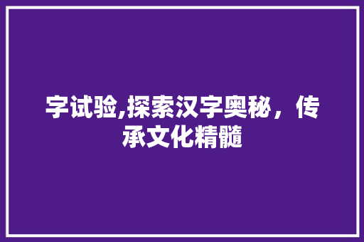 字试验,探索汉字奥秘，传承文化精髓 简历模板