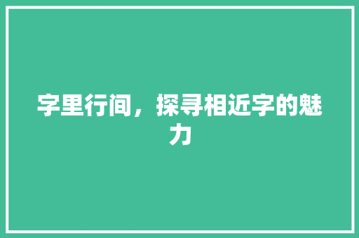 字里行间，探寻相近字的魅力