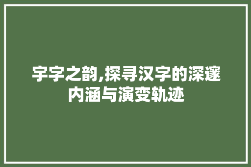 宇字之韵,探寻汉字的深邃内涵与演变轨迹