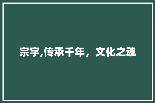 宗字,传承千年，文化之魂
