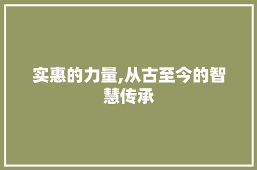 实惠的力量,从古至今的智慧传承