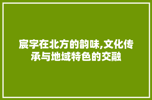宸字在北方的韵味,文化传承与地域特色的交融