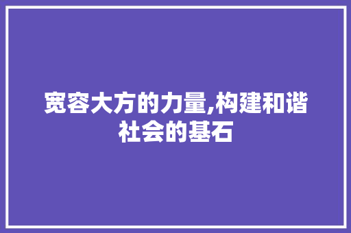 宽容大方的力量,构建和谐社会的基石