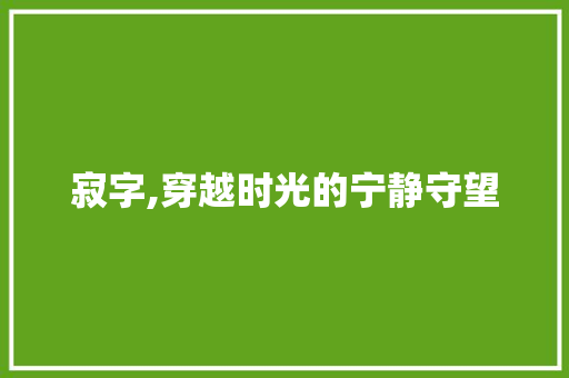 寂字,穿越时光的宁静守望