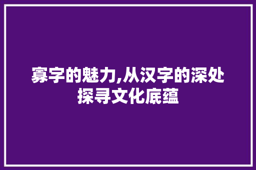 寡字的魅力,从汉字的深处探寻文化底蕴 简历模板