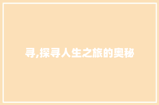 寻,探寻人生之旅的奥秘