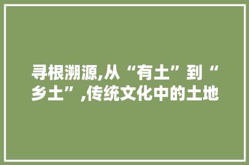 寻根溯源,从“有土”到“乡土”,传统文化中的土地情怀 范文赏析