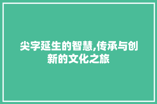 尖字延生的智慧,传承与创新的文化之旅