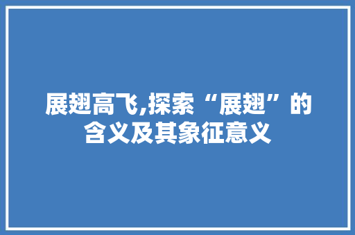 展翅高飞,探索“展翅”的含义及其象征意义
